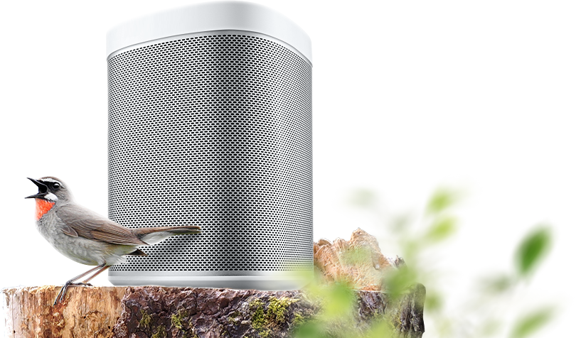 Финальные скидки