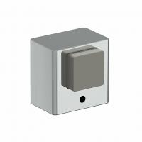 DS-1 C Хром